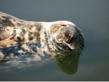 34 ����� �������� � �������, � ������� ���-���...