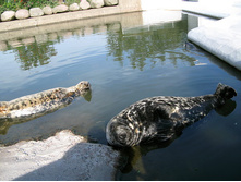 40 �� ������ ������ ��������? � ��� ����!