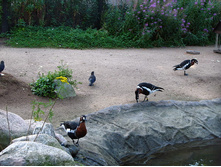 41 ����� �� ����� - ����� ����