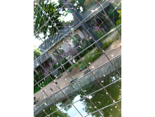 42 �������������� ����������