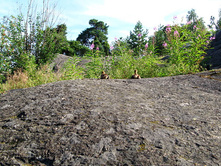 48 �� ���� � ����� � ����� ����...