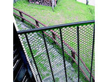 ���������� �����1.jpeg