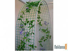 ���������� �����7.jpeg