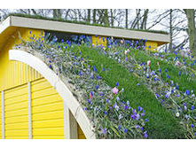 ���������� ����� 3.jpeg