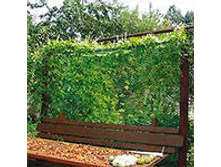 ���������� ����� 4.jpeg