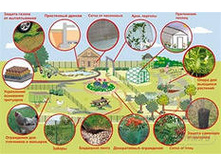 ���������� ����� .jpeg