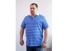 �.���� 3/4  100% ������  �.72-76����- 620���.jpg