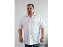 ��-1  �.60-82����.  ��.108  850���.jpg