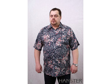 ��-1  �.60-82����. ��.110  850���..jpg