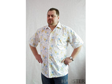 ��-1  �.60-82����. ��.113   850���.jpg