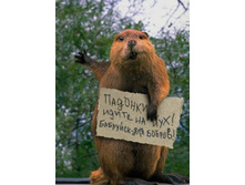 ��������-��� ������!