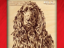 ��-015-������ -67,19���.jpg