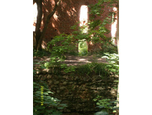 ��, ��� ���� ������� ���������� ���� 