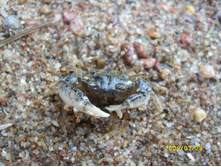 �������� - ���� �����!