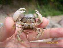 � �� �������, � ������ ����� :) 