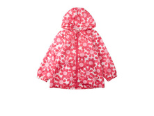 �������� ���. 9238730528 589 ���