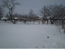 P1010131.JPG