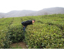 ������ ���������