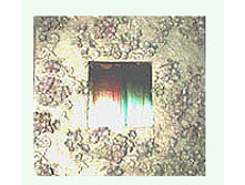 22.08.2009 21:51:22