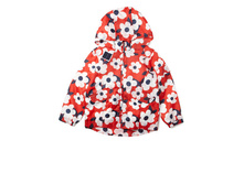 �������� ���. 9279636933 589 ���