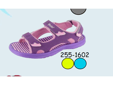 246��� ������