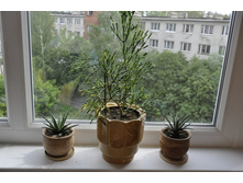 �������