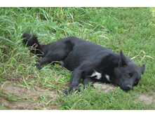 ������� �����...