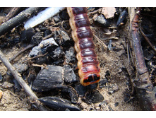 ��� ����� ������� ������ ����������� �� ��������� ����!