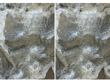 ��������� ���� ���� 6a Start