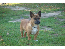 ��� ������ ������� � ������ ������ �����!