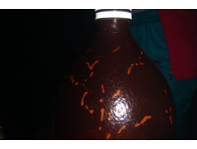 ��� ���������� ��� ��� �����, ���� ���� �� �������!