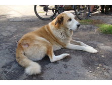 ��� ��� �� ���� ������ ��� ��� �������. ������. ��� ������� � ����������� ���������.