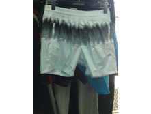 �-1017 �����