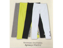 ����� 20985538.jpg