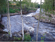 ��� �� ���  ������ ����� ������