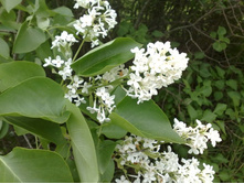 �������� ������ � ����