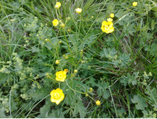 � ������� �������� ��� ������ \"������� �������\"