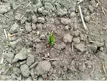 ����� ������������