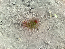 ��� ���� �������� ����� ) �������� �� 9 ���