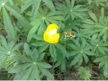 ������� ����� ����� ������ �� ���������� ���� � ���������� ) - ��������� ���� � ���������� ))