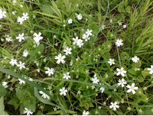 �� ���� ��� ��� - �� ����� � ������� )