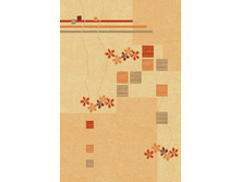 3618-43133 �����