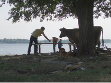 ��� ��� ���� ����� �� ����� ������!))