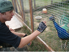 ...������, �� ����� �����������))