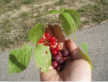 ����� ������ ����� � ������, � ��� ����� ��������! ���� ����� ���������!