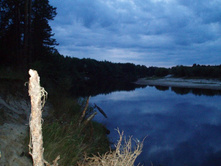 �������� �����������. �����