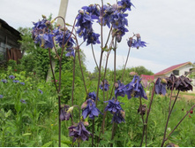 ���������, 70 �.