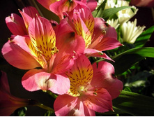 ������������