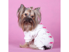 ���������� Diamond �����, 480�.jpg