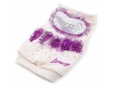 ��������� Dream ��������,  320�